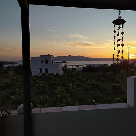 Matina'S Vineyard Hotel Mikri Vigla Cameră foto