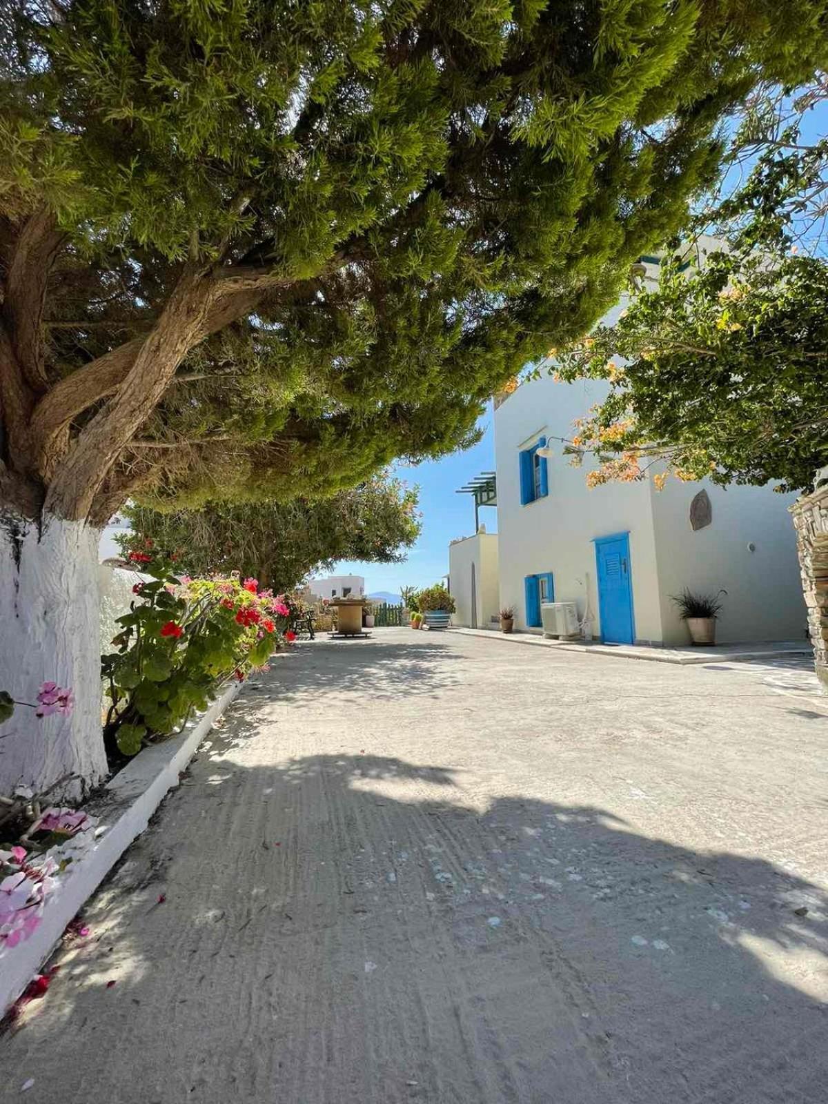 Matina'S Vineyard Hotel Mikri Vigla Exterior foto