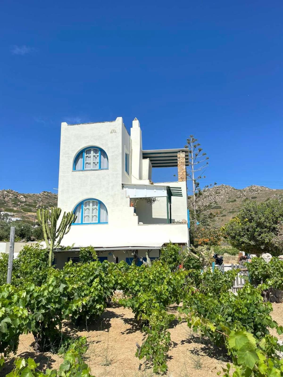 Matina'S Vineyard Hotel Mikri Vigla Exterior foto