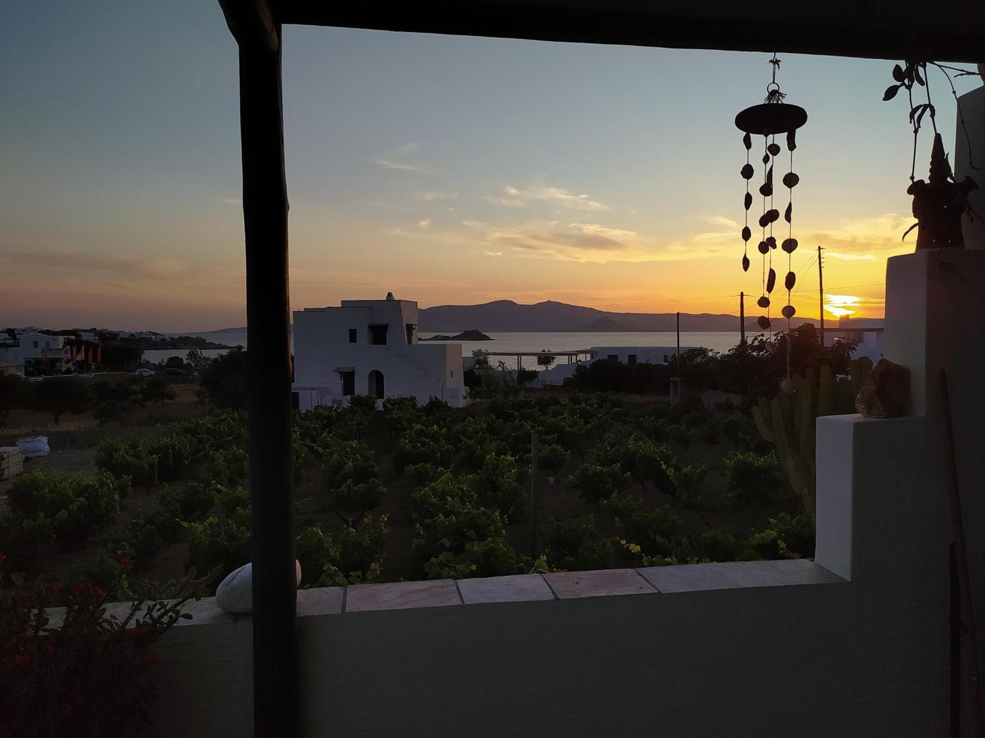 Matina'S Vineyard Hotel Mikri Vigla Cameră foto